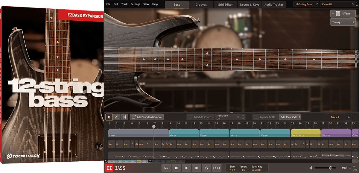 Toontrack EBX: 12-String Bass