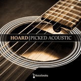 Musical Sampling Hoard Picked Acoustic