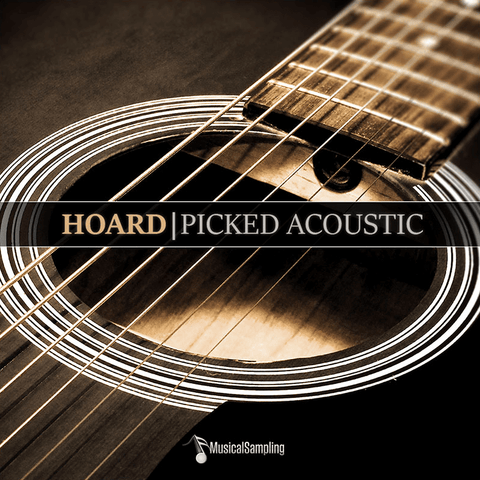 Musical Sampling Hoard Picked Acoustic