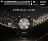 Musical Sampling Hoard Picked Acoustic