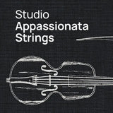 VSL Studio Appassionata Strings Bundle