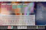 VSL Synchron Duality Strings (Colors)