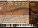 VSL Synchron Duality Strings (Sordino)