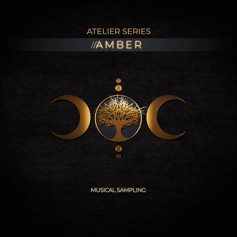 Musical Sampling Atelier Series: Amber