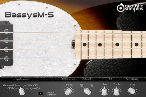 AcousticSamples Bassym-S