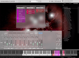VSL Big Bang Orchestra: Musca