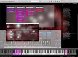 VSL Big Bang Orchestra: Musca