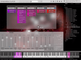 VSL Big Bang Orchestra: Musca