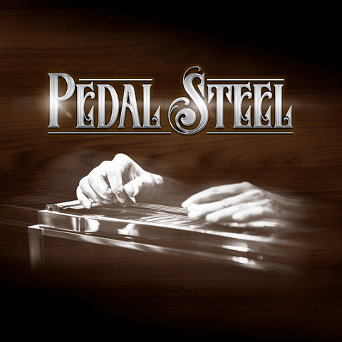 Impact Soundworks Pedal Steel