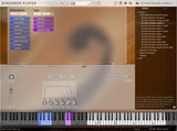 VSL Studio Chamber Strings Bundle