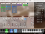VSL Studio Dimension Strings II