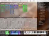 VSL Studio Dimension Strings Bundle