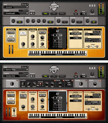 AAS Strum GS-2 Virtual Instruments PluginFox