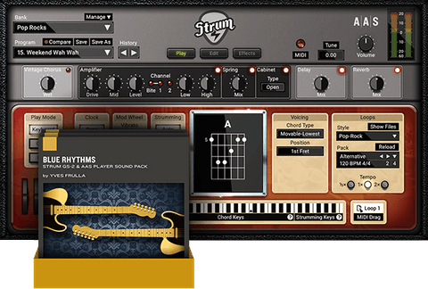 AAS Strum GS-2 + Packs Virtual Instruments PluginFox