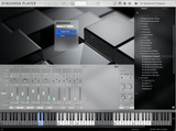 VSL Studio Special Edition 2: Extended Orchestra
