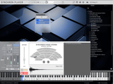 VSL Studio Special Edition 3: Appassionata & Muted Strings