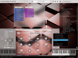 VSL Studio Special Edition 3: Appassionata & Muted Strings