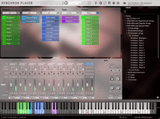 VSL Studio Special Edition 5: Dimension Strings