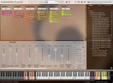 VSL Studio Solo Strings Sordino