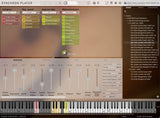VSL Studio Solo Strings Sordino