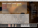 VSL Synchron World Winds: Bansuris