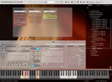 VSL Synchron World Winds: Gajdica