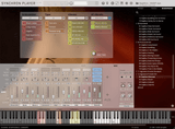 VSL Synchron World Winds: Gajdica
