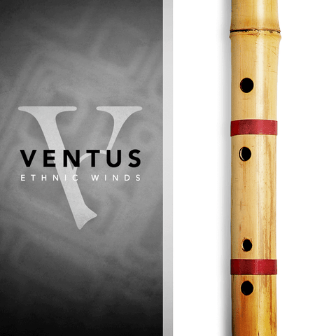 Impact Soundworks Ventus Ethnic Winds - Bansuri