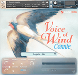 Soundiron Voice of Wind: Connie