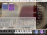 VSL Studio Woodwinds Bundle