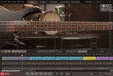 Toontrack EBX: 12-String Bass