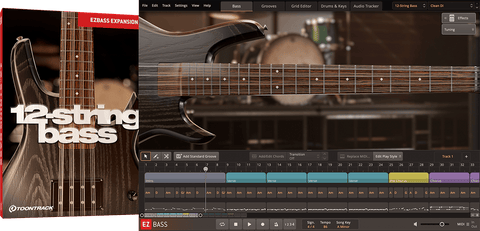 Toontrack EBX: 12-String Bass