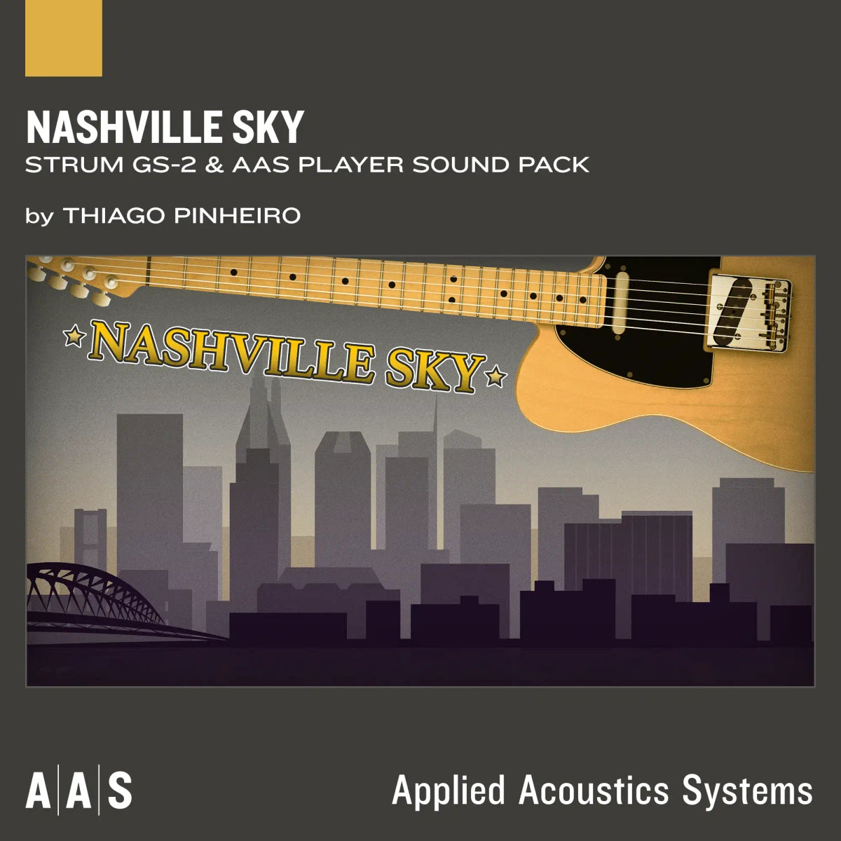 AAS Nashville Sky Art.webp