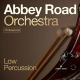Spitfire Audio Abbey Road Orchestra: Low Percussion Professional