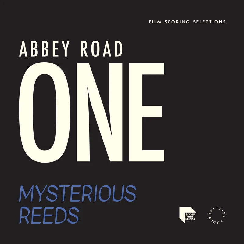 Spitfire Audio Abbey Road One: Mysterious Reeds