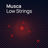 VSL Big Bang Orchestra: Musca