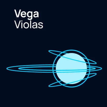 VSL Big Bang Orchestra: Vega