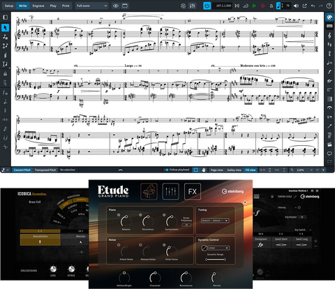 Steinberg Dorico Pro 6 + Iconica Opus + Etude Bundle
