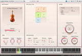 VSL Synchron Duality Strings Essentials