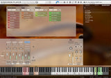 VSL Synchron Duality Strings Essentials