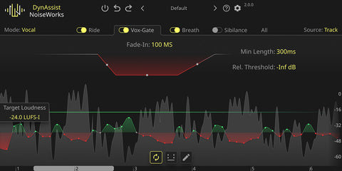 NoiseWorks Audio DynAssist