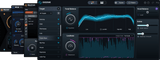 iZotope Elements Suite 12 - PluginFox