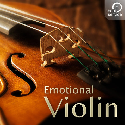 Best Service Emotional Violin