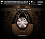 Musical Sampling Fingerstyle Bouzouki