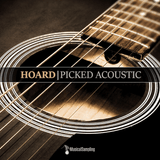 Musical Sampling Hoard Picked Acoustic