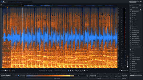 iZotope RX11 Standard