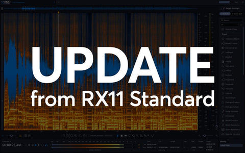 iZotope RX12 Standard - Update from RX11 Standard