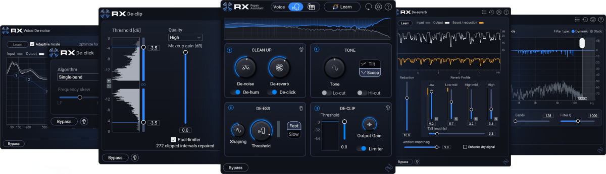 iZotope RX12 Elements - PluginFox
