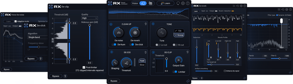 iZotope RX12 Elements - PluginFox