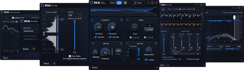 iZotope RX12 Elements - PluginFox